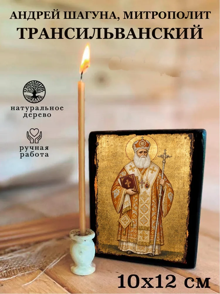 Андрей Шагуна, митрополит Трансильванский — Средний формат 15×18 см для дома