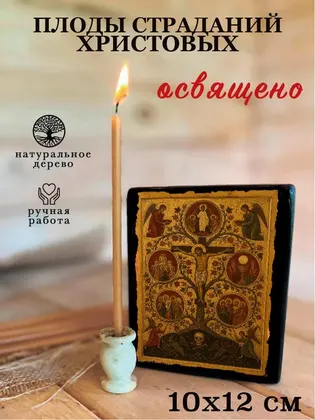 Плоды страданий Христовых — фото 3