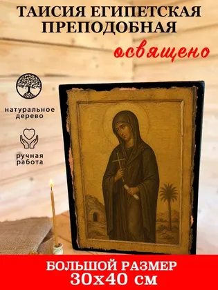 Таисия Египетская — фото 7