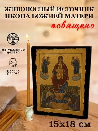 Икона Божией Матери «Живоносный Источник» — фото 5