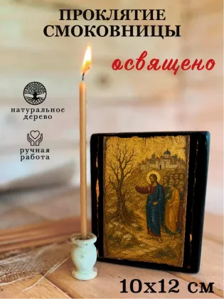 Проклятие Смоковницы — фото 3