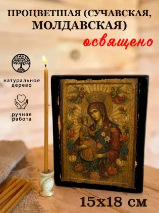 Процветшая (Сучавская, Молдавская) — фото 5