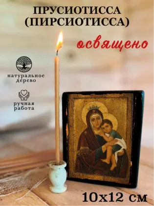 Прусиотисса (Пирсиотисса) — фото 3