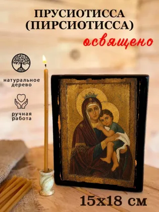 Прусиотисса (Пирсиотисса) — фото 5