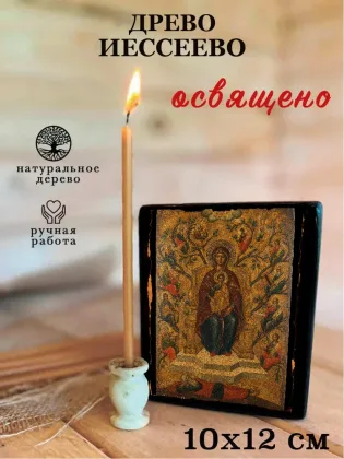 Древо Иессеево — фото 3
