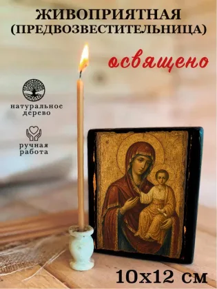 Живоприятная (Предвозвестительница) — фото 3