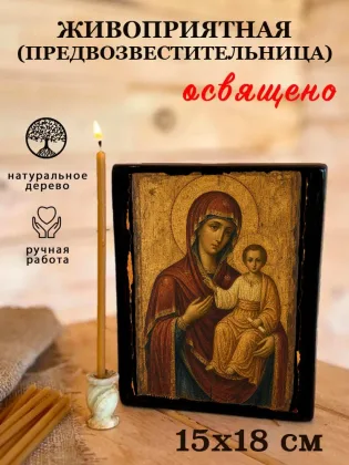 Живоприятная (Предвозвестительница) — фото 5