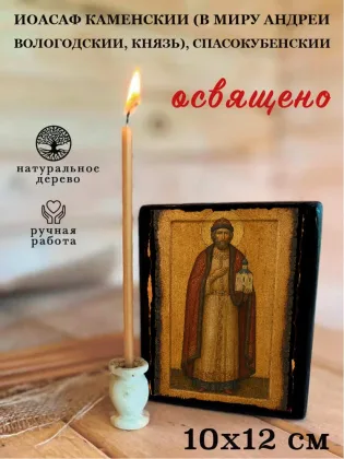 Иоасаф Каменский (в миру Андрей Вологодский, князь), Спасокубенский — фото 3
