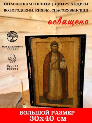 Иоасаф Каменский (в миру Андрей Вологодский, князь), Спасокубенский — фото 7