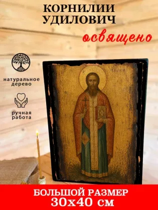 Корнилий Удилович — фото 7
