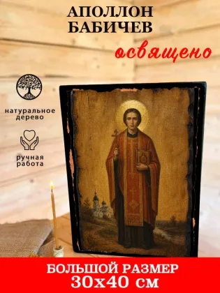 Аполлон Бабичев — фото 7