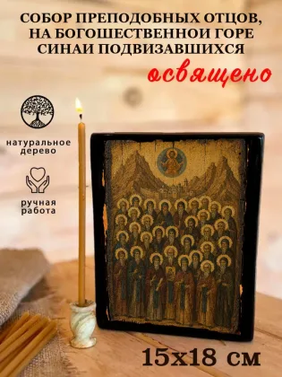 Собор преподобных отцов, на Богошественной Горе Синайской подвизавшихся — фото 5