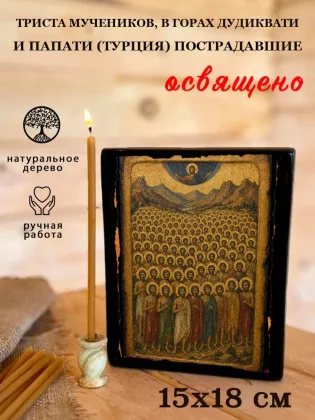 Триста мучеников, в горах Дудиквати и Папати (Турция) пострадавшие — фото 5