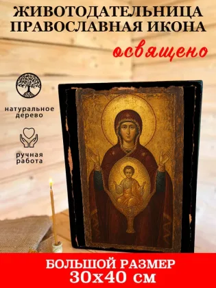 Икона Богородицы Животодательница — фото 7