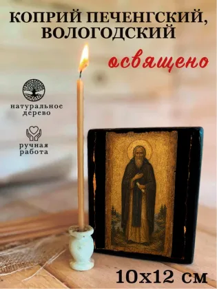 Коприй Печенгский, Вологодский — фото 3