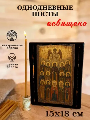 Однодневные посты — фото 5