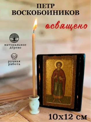 Петр Воскобоиников — фото 3