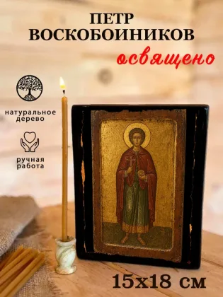 Петр Воскобоиников — фото 5