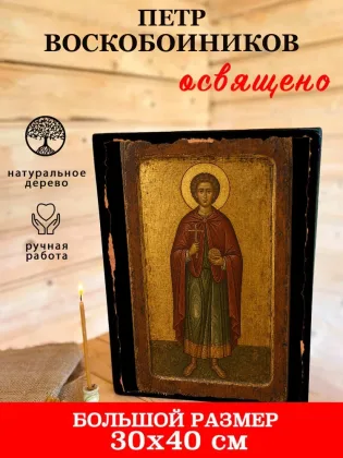 Петр Воскобоиников — фото 7