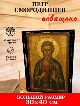 Петр Смородинцев — фото 7