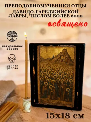Преподобномученики отцы Давидо-Гареджийской Лавры, числом более 6000 — фото 5