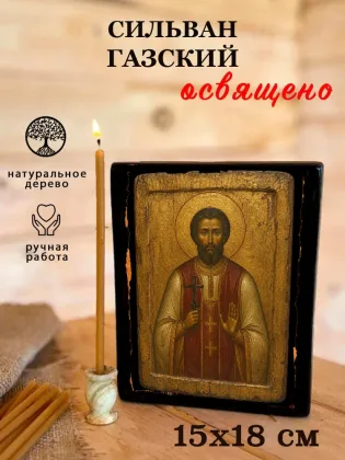 Сильван Газский — фото 5