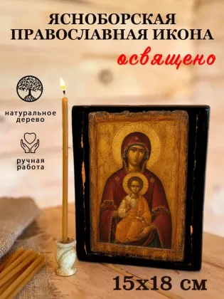 Икона Богородицы Ясноборская — фото 5