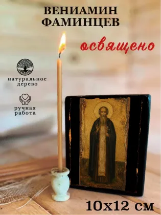 Вениамин Фаминцев — фото 3