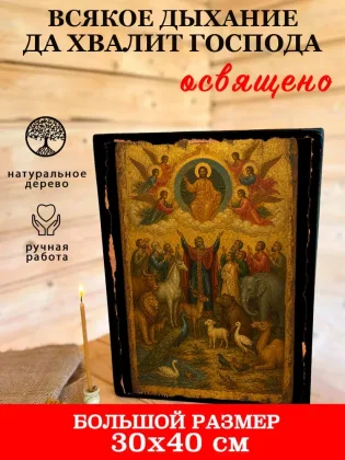 Всякое дыхание да хвалит Господа — фото 7