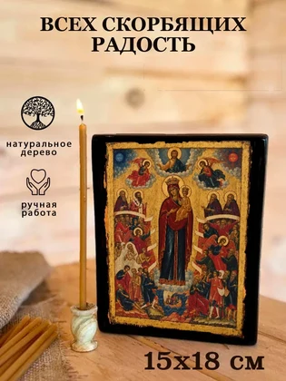 Всех скорбящих Радость — вид 5