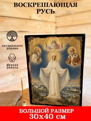 Воскрешающая Русь — вид 7