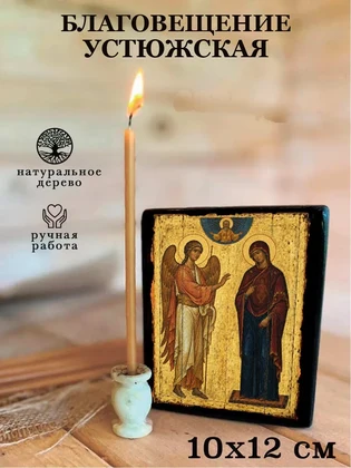 Благовещение Устюжская — вид 3