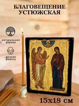 Благовещение Устюжская — вид 5