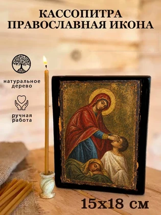 Кассопитра — вид 5