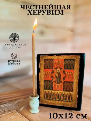 Честнейшая Херувим — вид 3