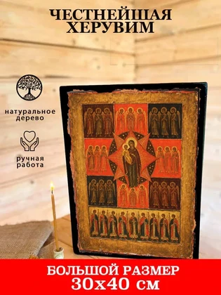 Честнейшая Херувим — вид 7