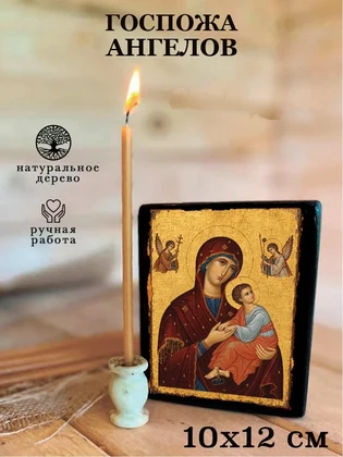 Госпожа ангелов — вид 3