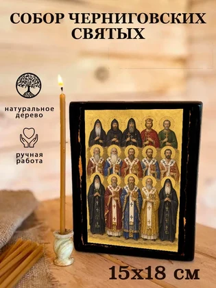 Собор Черниговских святых — вид 5