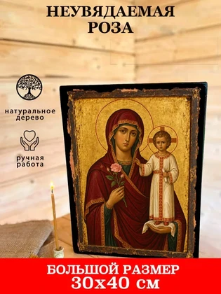 Неувядаемая роза — вид 7
