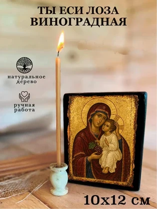 Ты еси лоза виноградная — вид 3