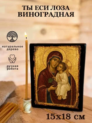 Ты еси лоза виноградная — вид 5