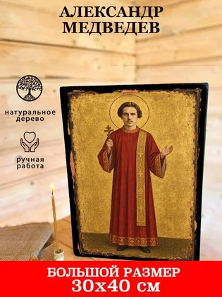Александр Медведев — вид 7