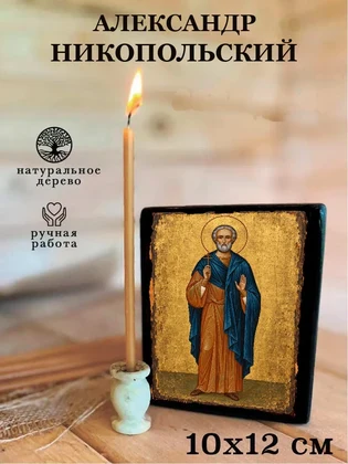 Александр Никопольский — вид 3