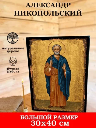 Александр Никопольский — вид 7