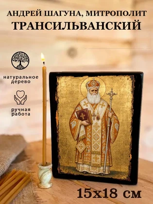 Андрей Шагуна, митрополит Трансильванский — вид 5