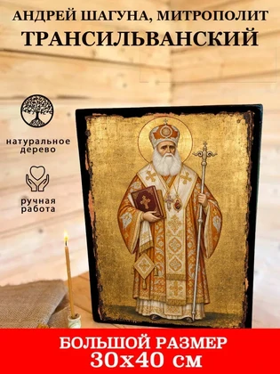 Андрей Шагуна, митрополит Трансильванский — вид 7