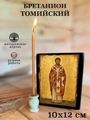 Бретанион Томийский — вид 3