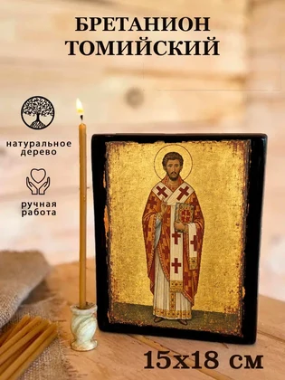 Бретанион Томийский — вид 5