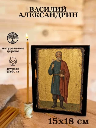 Василий Александрин — вид 5
