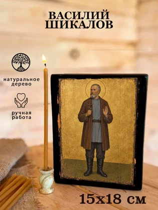 Василий Шикалов — вид 5